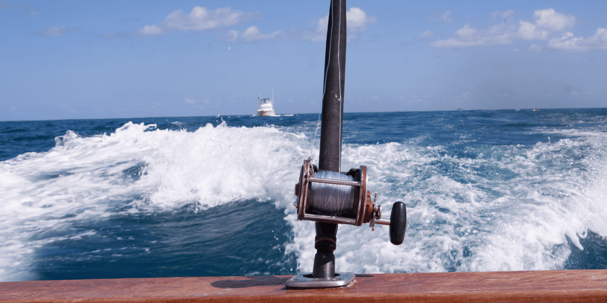 Fishing rod cast off the back of a moving boat